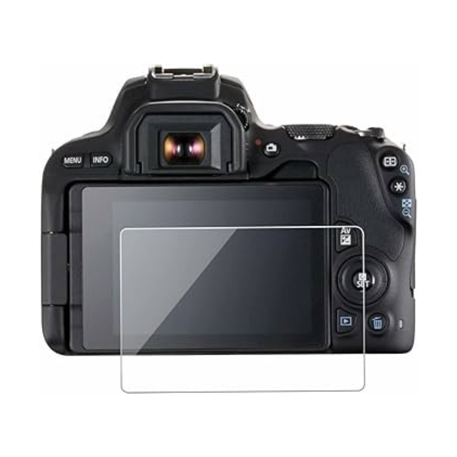 DSLR Cameras